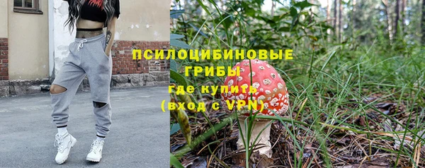 a pvp Инта